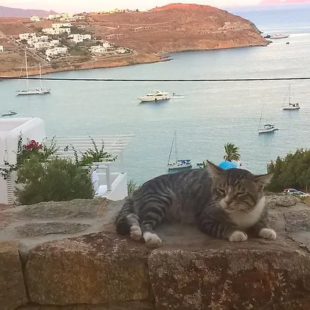 Beachfront Amazing Views Mykonos *